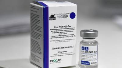 Жозеп Боррель - В ЕС готовы к переговорам по закупке российской вакцины "Спутник V" – СМИ - m24.ru