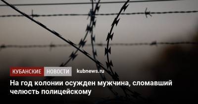 На год колонии осужден мужчина, сломавший челюсть полицейскому - kubnews.ru - Краснодарский край - Краснодар