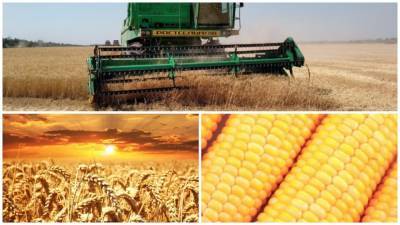 Пошлины на экспорт кукурузы и ячменя начали действовать в России - newinform.com - Таможенный Союз