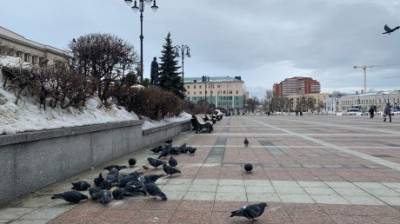 В Пензенской области выявили менее 120 новых случаев коронавируса - penzainform.ru - Пензенская обл. - Пенза