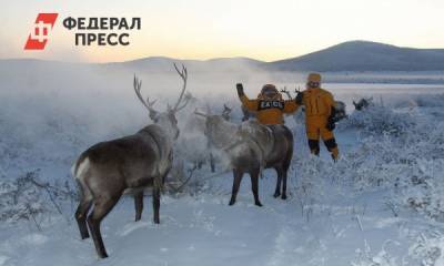 Ученые замерили концентрацию микропластика в снеге ямальской тундры - fedpress.ru