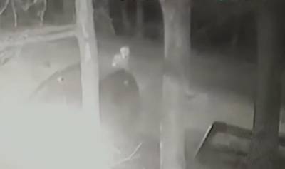 Петербуржец расскажет суду, что делал с 10-летней школьницей у Renault в Новой Ладоге - ivbg.ru - Ленинградская обл. - Петербурга