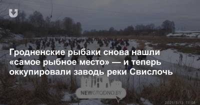 Гродненские рыбаки снова нашли «самое рыбное место» — и теперь оккупировали заводь реки Свислочь - news.tut.by