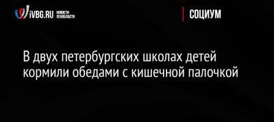 В двух петербургских школах детей кормили обедами с кишечной палочкой - ivbg.ru - Россия - Санкт-Петербург - район Кронштадтский, Санкт-Петербург