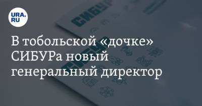 Владимир Романов - В тобольской «дочке» СИБУРа новый генеральный директор. Инсайд URA.RU подтвердился - ura.news