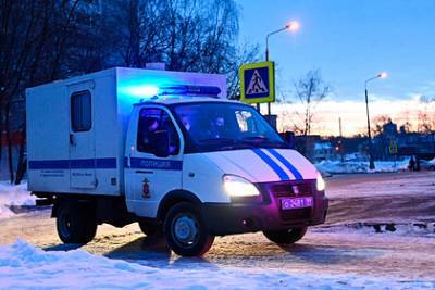 Алексей Навальный - Стала известна колония Навального - lenta.ru - Владимирская обл. - Омск