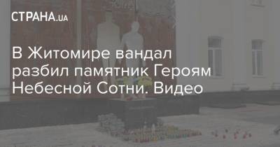 В Житомире вандал разбил памятник Героям Небесной Сотни. Видео - strana.ua - Житомир