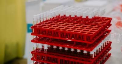 В Нидерландах также приостановили использование вакцины против коронавируса AstraZeneca - delo.ua - Норвегия - Дания - Голландия