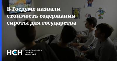 Николай Земцов - В Госдуме назвали стоимость содержания сироты для государства - nsn.fm