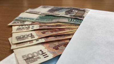 Владимир Путин - Иван Белозерцев - Директор пензенской школы назвал ложью информацию о поборах с родителей - riafan.ru - Пенза