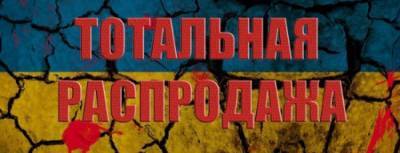 Роксолана Пидласа - Рада вернулась к инициативе пустить Украину с молотка - politnavigator.net - Украина