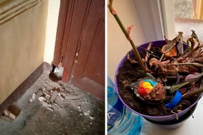 Петербуржцы пожаловались на нашествие наркоманов-вандалов - lenta.ru - Санкт-Петербург