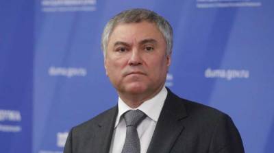 Вячеслав Володин - Хендрик Дамс - Володин предложил ПАСЕ включить в повестку вопросы по защите здоровья европейцев - newzfeed.ru - Москва