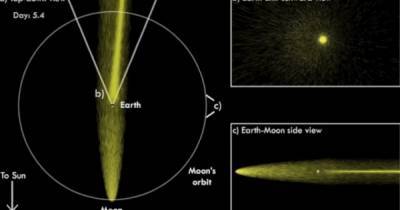 У Луны есть свой хвост и Земля ежемесячно заматывается в него, как в шарф - focus.ua