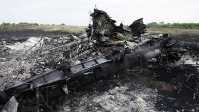 Куала-Лумпур вынесет решение по делу о крушении MH17 после суда в Гааге - riafan.ru - Малайзия - Куала-Лумпур - Гаага