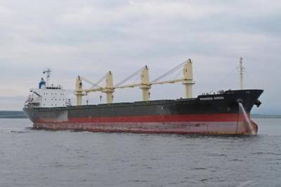 В Новороссийске моряк погиб при пересадке с судна на катер - kuban.mk.ru - Новороссийск