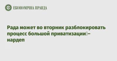 Роксолана Пидласа - Рада может во вторник разблокировать процесс большой приватизации – нардеп - epravda.com.ua