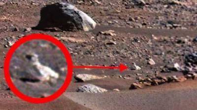 Скотт Уоринг - Уфолог Скотт Уоринг увидел на снимках NASA с Марса живых пингвинов - actualnews.org