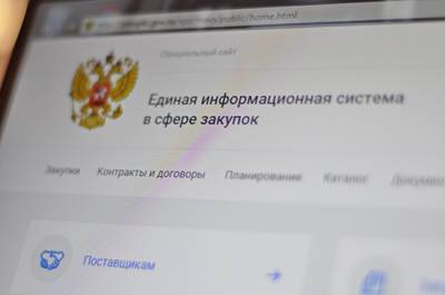 Процедуру госзакупок предлагается упростить - pnp.ru