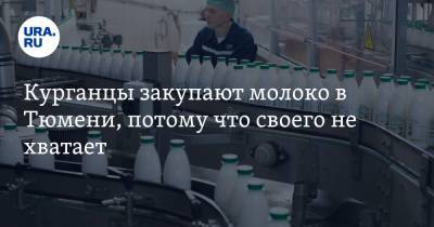 Курганцы закупают молоко в Тюмени, потому что своего не хватает - ura.news - Башкирия - Челябинская обл. - Тюмень - Тюменская обл. - Свердловская обл. - респ. Удмуртия
