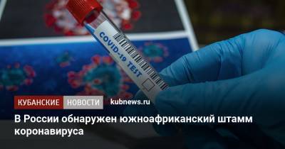 В России обнаружен южноафриканский штамм коронавируса - kubnews.ru