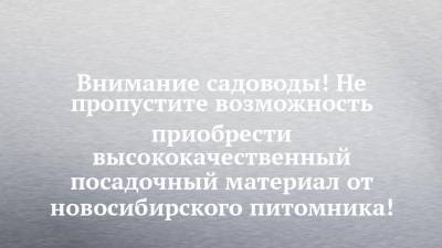 Внимание садоводы! Не пропустите возможность приобрести высококачественный посадочный материал от новосибирского питомника! - chelny-izvest.ru