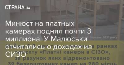Денис Малюська - Минюст на платных камерах поднял почти 3 миллиона. У Малюськи отчитались о доходах из СИЗО - strana.ua - Киев - Николаев