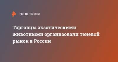 Торговцы экзотическими животными организовали теневой рынок в России - ren.tv - Торговля