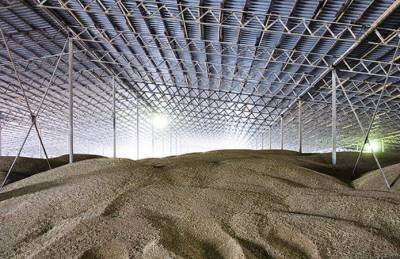 Украина теряет 15-30% урожая из-за нехватки элеваторов - agroportal.ua