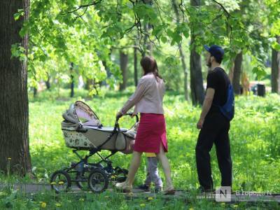 Экосистема парковых пространств в 131,6 га появится в Нижнем Новгороде - vgoroden.ru - Нижний Новгород - Нижний Новгород