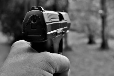 На улице Праволыбедской полиция задержала рязанца с пневматическим пистолетом - rzn.mk.ru - Рязань