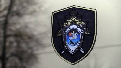 СК РФ сообщает об обнаружении пяти трупов в жилом доме в Тамбовской области - newinform.com - Тамбовская обл.