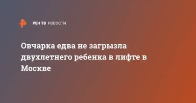 Овчарка едва не загрызла двухлетнего ребенка в лифте в Москве - ren.tv - Москва
