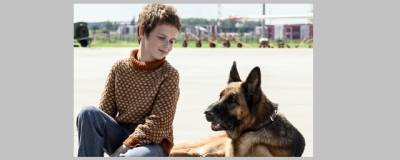 Бенедикт Камбербэтч - Илья Найшуллер - На этой неделе в российском прокате появятся сразу три долгожданные картины - runews24.ru