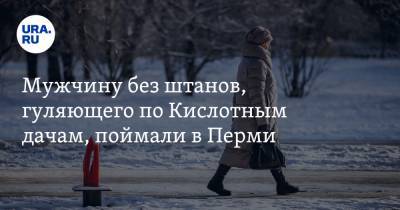 Мужчину без штанов, гуляющего по Кислотным дачам, поймали в Перми - ura.news - Пермь - Пермский край