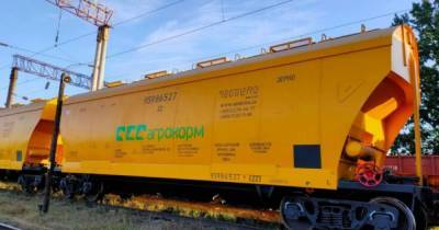 «Агротехніка» намерена закупить 45 вагонов-зерновозов - gmk.center