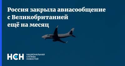 Россия закрыла авиасообщение с Великобританией ещё на месяц - nsn.fm - Россия - Англия - Великобритания