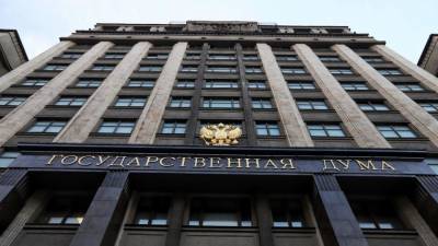 Ирина Ярова - Депутаты ГД во II чтении рассмотрели закон об ответственности за реабилитацию нацизма - riafan.ru - Москва
