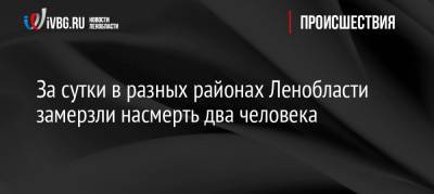 За сутки в разных районах Ленобласти нашли двух замерзших насмерть человек - ivbg.ru - Ленинградская обл. - р-н Всеволожский