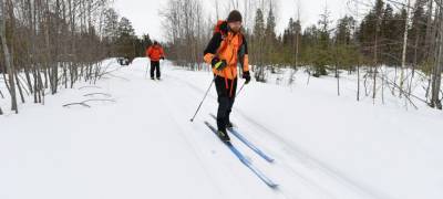 Спортсмены-туристы дошли до финиша "Нетающей лыжни" в Карелии - stolicaonego.ru - район Муезерский - республика Карелия