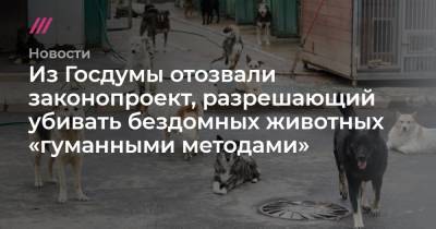 Из Госдумы отозвали законопроект, разрешающий убивать бездомных животных «гуманными методами» - tvrain.ru - Москва
