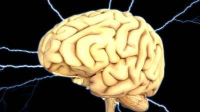 Американские ученые узнали, как реагирует мозг на чтение художественной литературы - polit.info - шт. Огайо