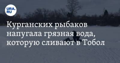 Курганских рыбаков напугала грязная вода, которую сливают в Тобол. Видео - ura.news - Курган
