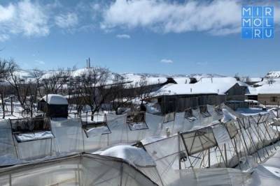 Овощеводы Карабудахкентского района в текущем году могут недополучить более 15 тысяч тонн овощей - mirmol.ru