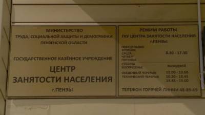 Андрей Лузгин - Мэр назвал ситуацию на рынке труда Пензы странной - penzainform.ru - Пенза - Строительство
