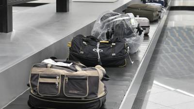 Виталий Пашин - Андрей Андрейченко - В Госдуме предложили ввести предельное время выдачи багажа в аэропорту - m24.ru