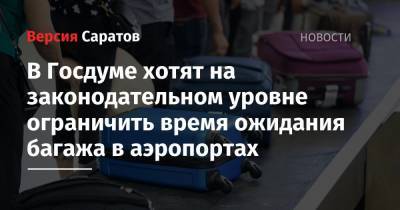 В Госдуме хотят на законодательном уровне ограничить время ожидания багажа в аэропортах - nversia.ru