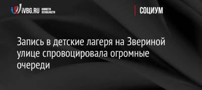 Запись в детские лагеря на Звериной улице спровоцировала огромные очереди - ivbg.ru - Санкт-Петербург