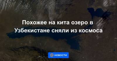 Сергей Кудь-Сверчков - Похожее на кита озеро в Узбекистане сняли из космоса - news.mail.ru - Узбекистан