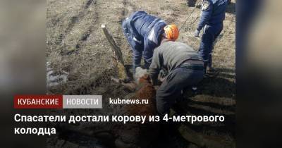 Спасатели достали корову из 4-метрового колодца - kubnews.ru - Краснодарский край - район Отрадненский